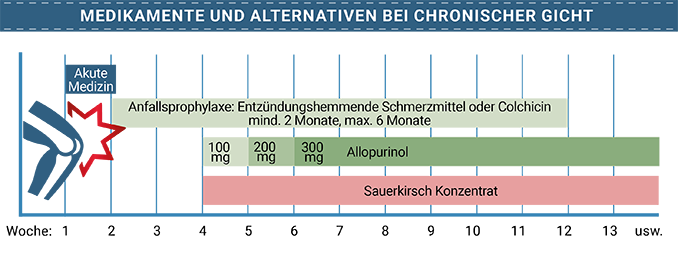 Infografik: Medikamente und Alternativen bei chronischer Gicht - erst Schmerzmittel oder Colchizin um Anfällen vorzubeugen, dann Axxxxxxxxxx, ergänzt durch Sauerkirsch-Konzentrat.