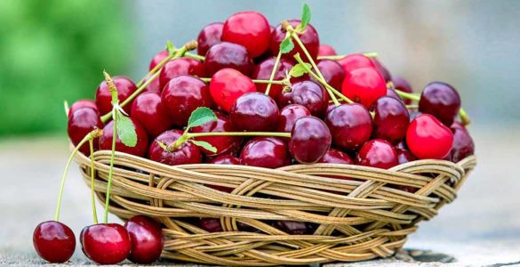 Der Gicht Blog Gichtforum Der Gicht Blog Gichtforum