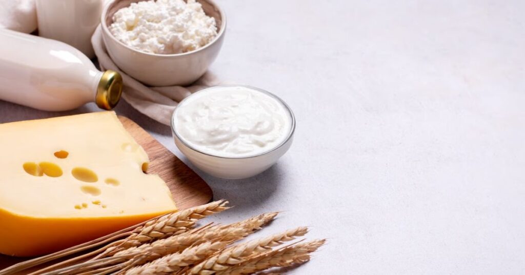 Milchprodukte wie Joghurt, Käse und Milch als Lebensmittel für eine ausgewogene purinarme Ernährung bei Gicht.